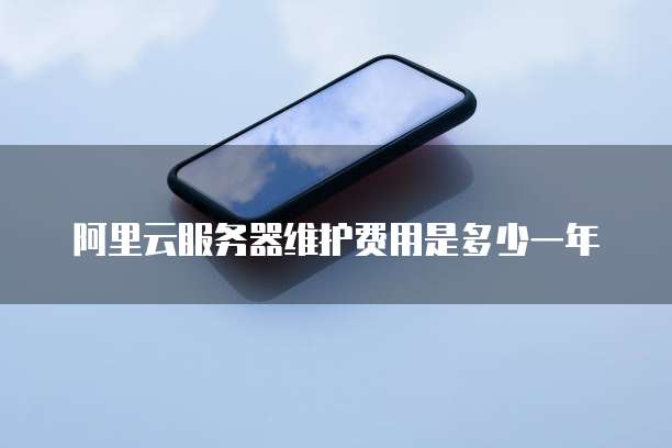 阿里云服务器维护费用是多少一年