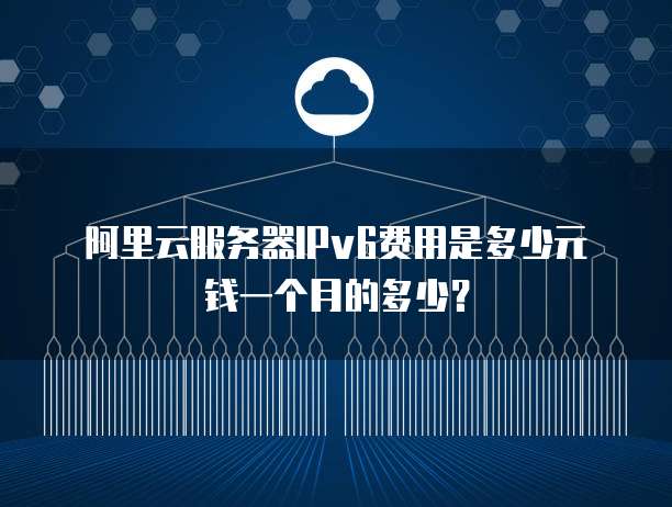 阿里云服务器IPv6费用是多少元钱一个月的多少?