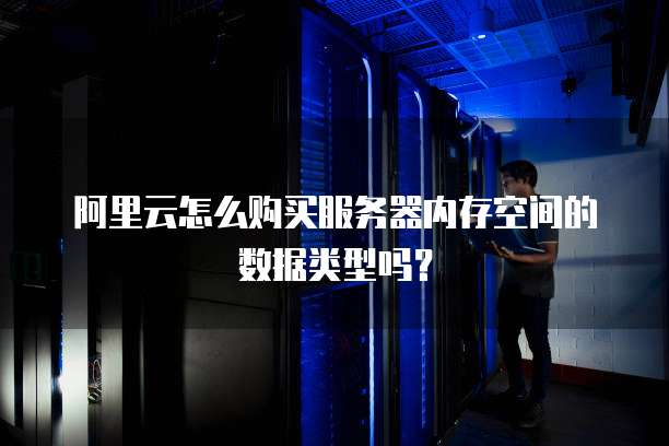 阿里云怎么购买服务器内存空间的数据类型吗?