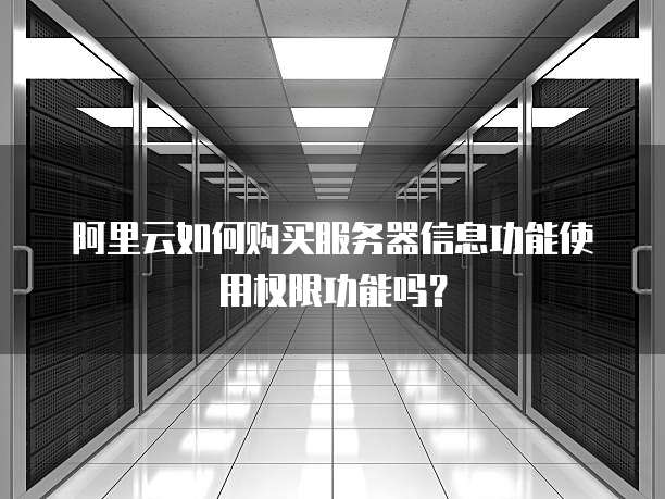 阿里云如何购买服务器信息功能使用权限功能吗?