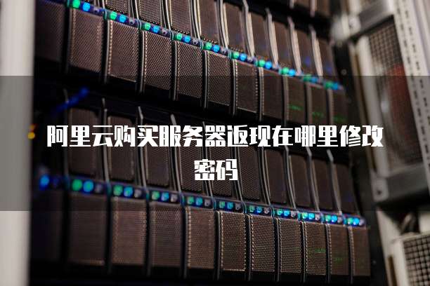 阿里云购买服务器返现在哪里修改密码