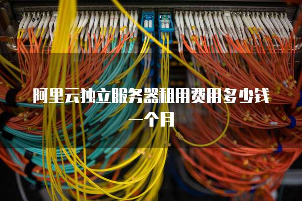 阿里云独立服务器租用费用多少钱一个月