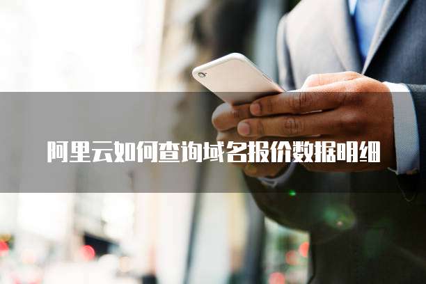 阿里云如何查询域名报价数据明细