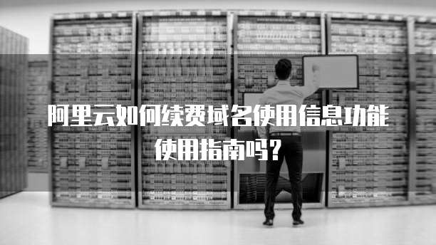 阿里云如何续费域名使用信息功能使用指南吗?