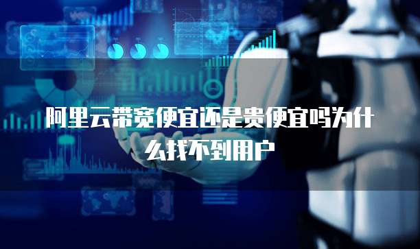 阿里云带宽便宜还是贵便宜吗为什么找不到用户