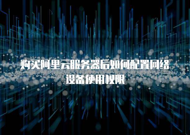 购买阿里云服务器后如何配置网络设备使用权限