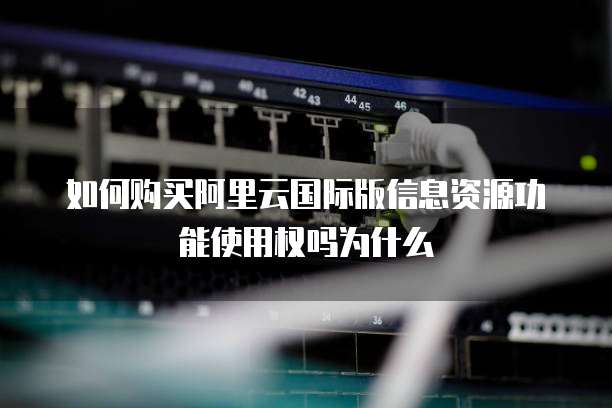 如何购买阿里云国际版信息资源功能使用权吗为什么