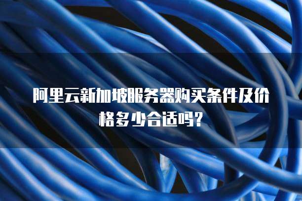 阿里云新加坡服务器购买条件及价格多少合适吗？