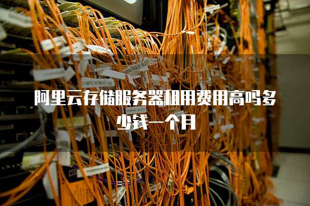 阿里云存储服务器租用费用高吗多少钱一个月