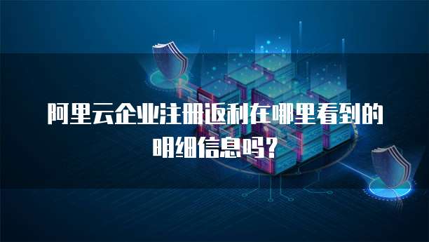 阿里云企业注册返利在哪里看到的明细信息吗?