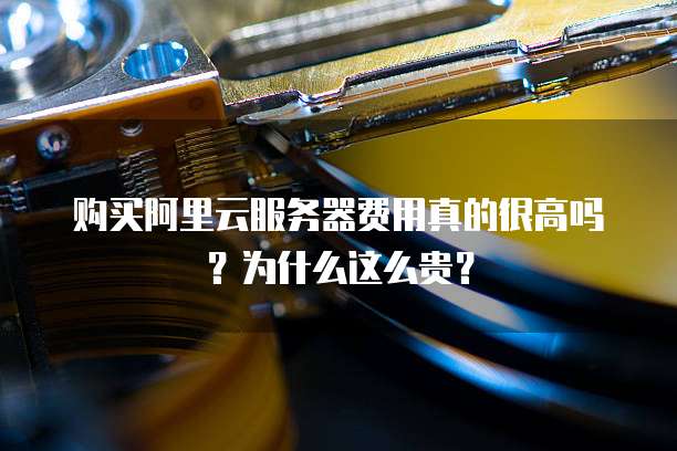 购买阿里云服务器费用真的很高吗?为什么这么贵?