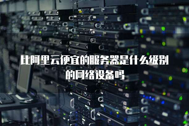 比阿里云便宜的服务器是什么级别的网络设备吗