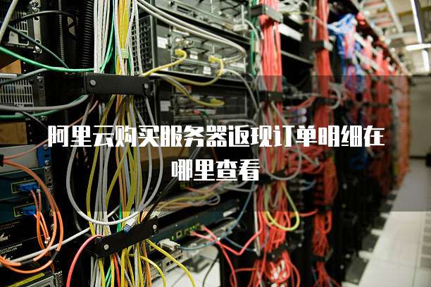 阿里云购买服务器返现订单明细在哪里查看