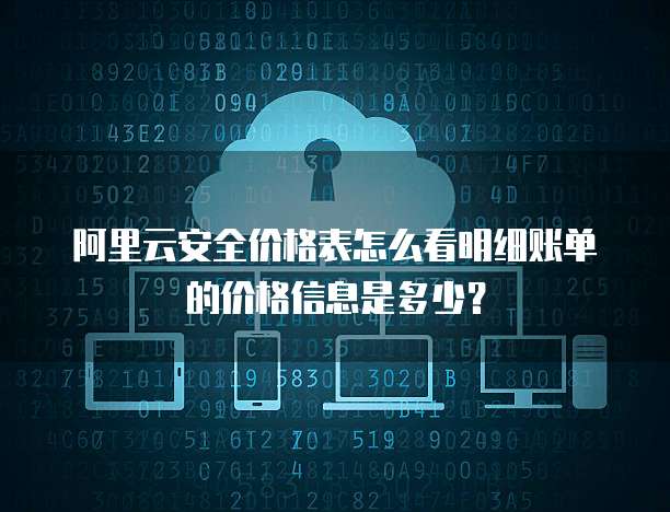 阿里云安全价格表怎么看明细账单的价格信息是多少?