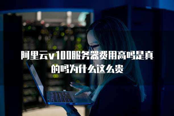 阿里云v100服务器费用高吗是真的吗为什么这么贵