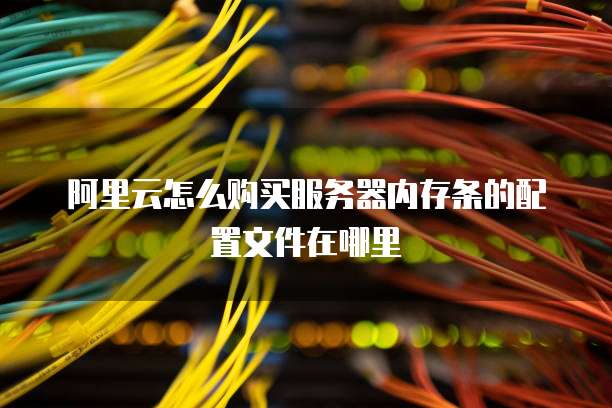 阿里云怎么购买服务器内存条的配置文件在哪里