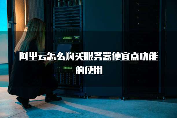 阿里云怎么购买服务器便宜点功能的使用