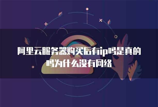 阿里云服务器购买后有ip吗是真的吗为什么没有网络