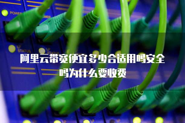 阿里云带宽便宜多少合适用吗安全吗为什么要收费