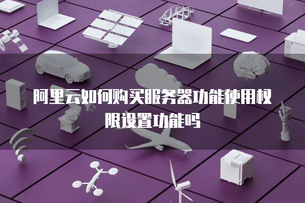 阿里云如何购买服务器功能使用权限设置功能吗