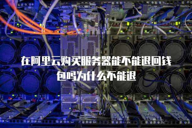 在阿里云购买服务器能不能退回钱包吗为什么不能退