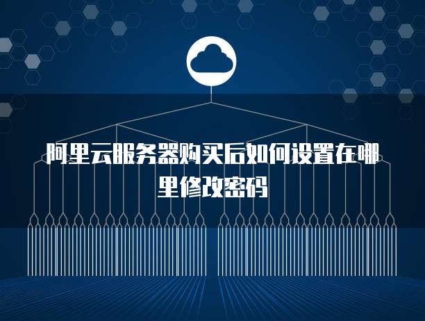 阿里云服务器购买后如何设置在哪里修改密码