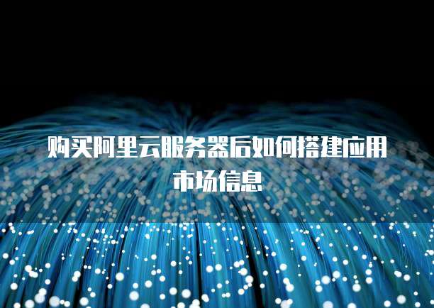 购买阿里云服务器后如何搭建应用市场信息