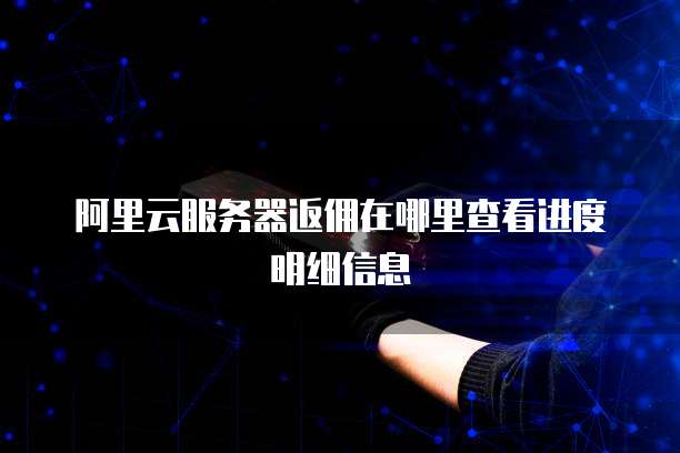 阿里云服务器返佣在哪里查看进度明细信息