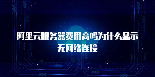 阿里云服务器费用高吗为什么显示无网络连接