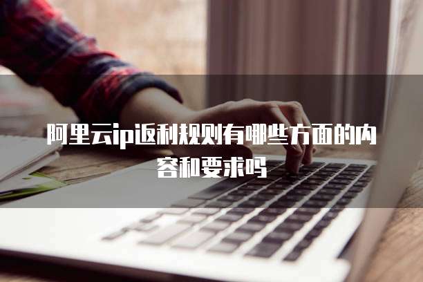 阿里云ip返利规则有哪些方面的内容和要求吗