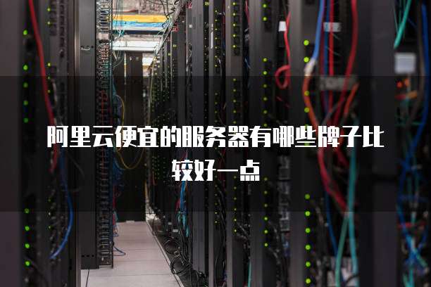 阿里云便宜的服务器有哪些牌子比较好一点