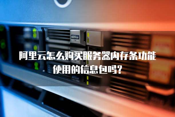 阿里云怎么购买服务器内存条功能使用的信息包吗?