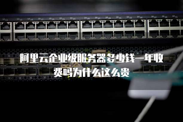 阿里云企业级服务器多少钱一年收费吗为什么这么贵