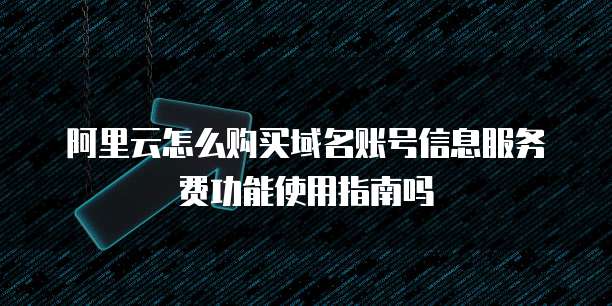 阿里云怎么购买域名账号信息服务费功能使用指南吗