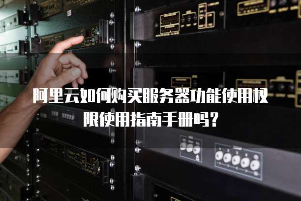 阿里云如何购买服务器功能使用权限使用指南手册吗?