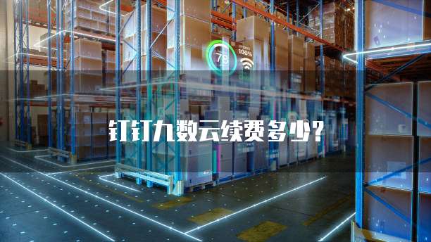 钉钉九数云续费多少？
