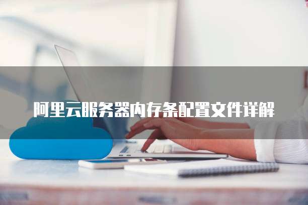 阿里云服务器内存条配置文件详解