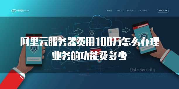 阿里云服务器费用100万怎么办理业务的功能费多少