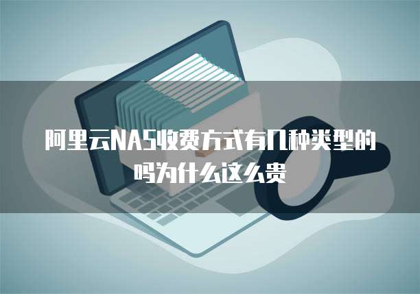 阿里云NAS收费方式有几种类型的吗为什么这么贵