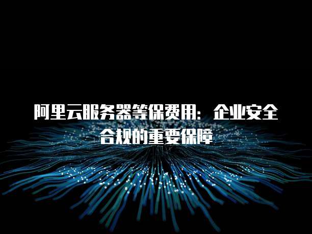 阿里云服务器等保费用:企业安全合规的重要保障
