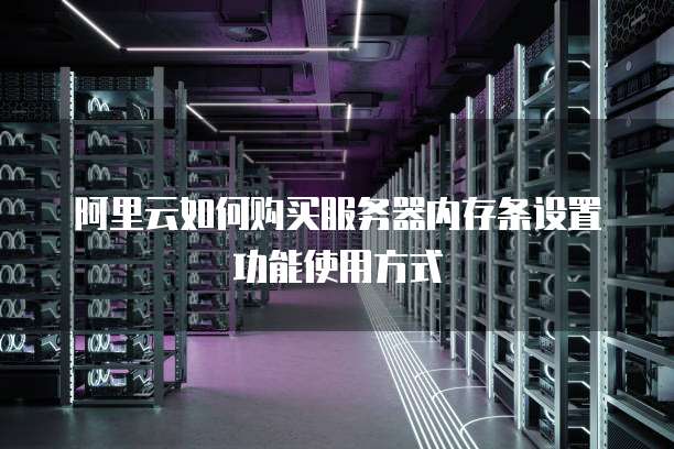 阿里云如何购买服务器内存条设置功能使用方式
