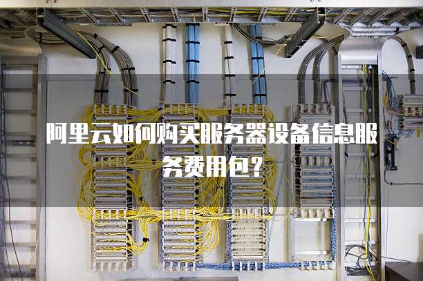 阿里云如何购买服务器设备信息服务费用包?