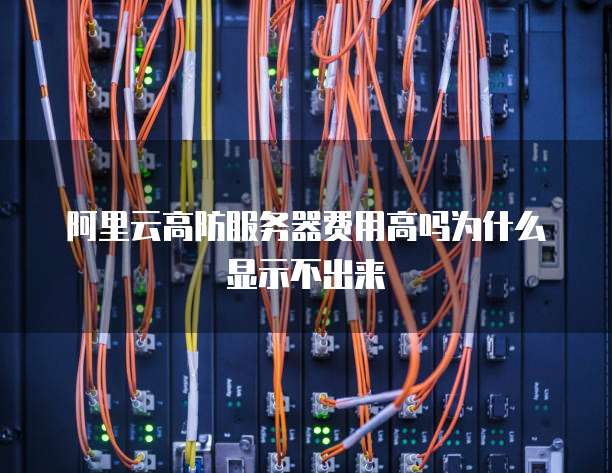 阿里云高防服务器费用高吗为什么显示不出来