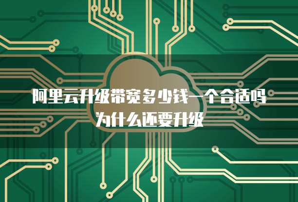 阿里云升级带宽多少钱一个合适吗为什么还要升级
