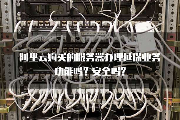 阿里云购买的服务器办理延保业务功能吗?安全吗?