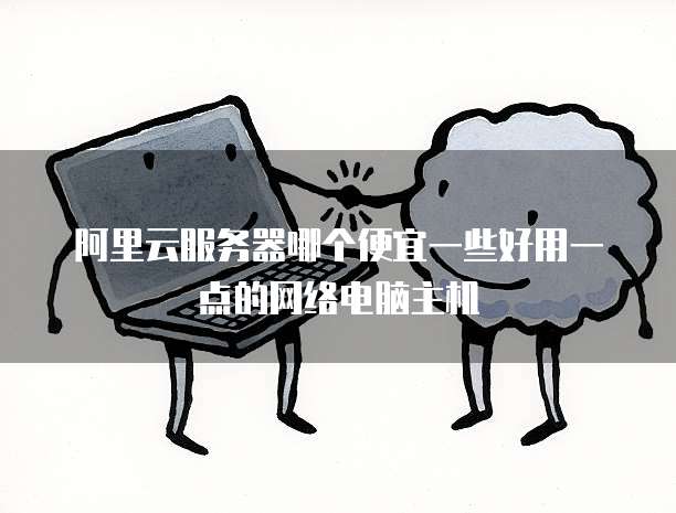阿里云服务器哪个便宜一些好用一点的网络电脑主机
