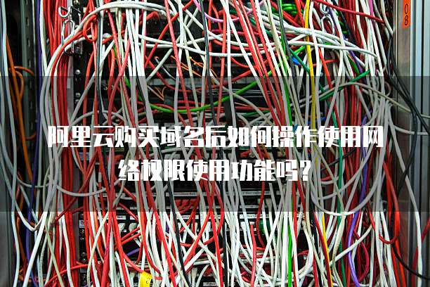 阿里云购买域名后如何操作使用网络权限使用功能吗?