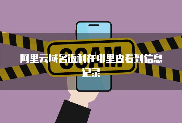 阿里云域名返利在哪里查看到信息记录