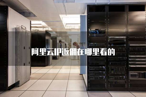 阿里云IP返佣在哪里看的