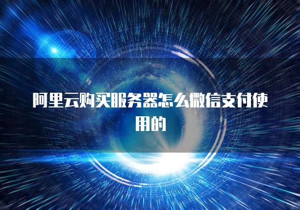 阿里云购买服务器怎么微信支付使用的